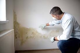  Coldwater, OH Mold Prevention & Removal Pros